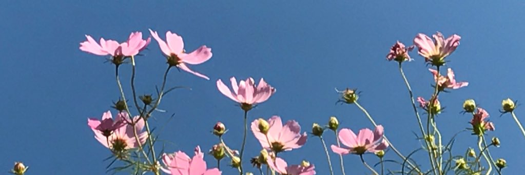 Abc0501M's profile banner image