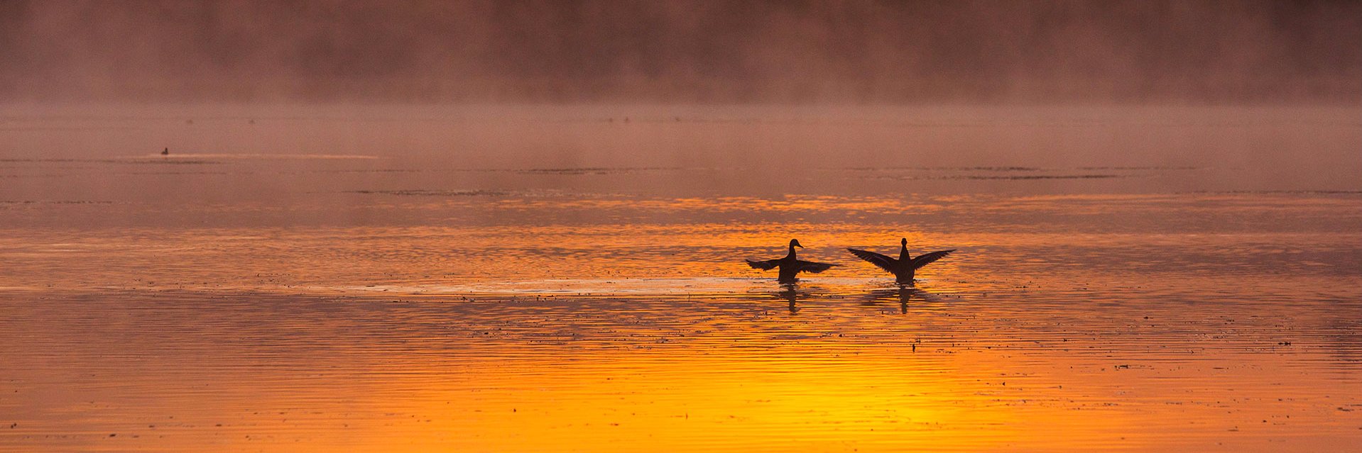 小文在途中™ banner