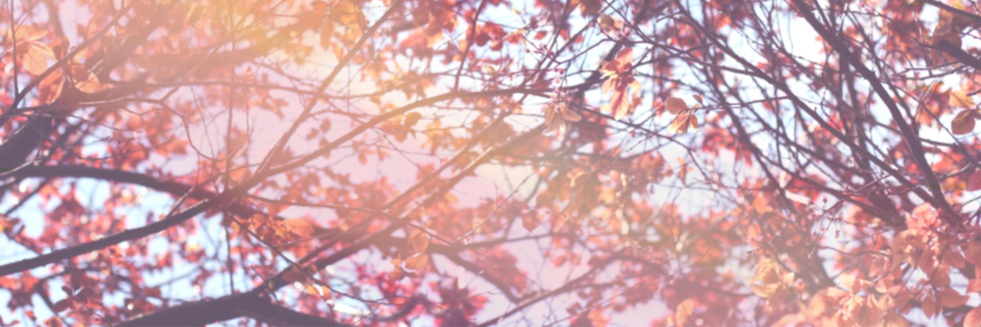 P_Ian_InThePool's profile banner image