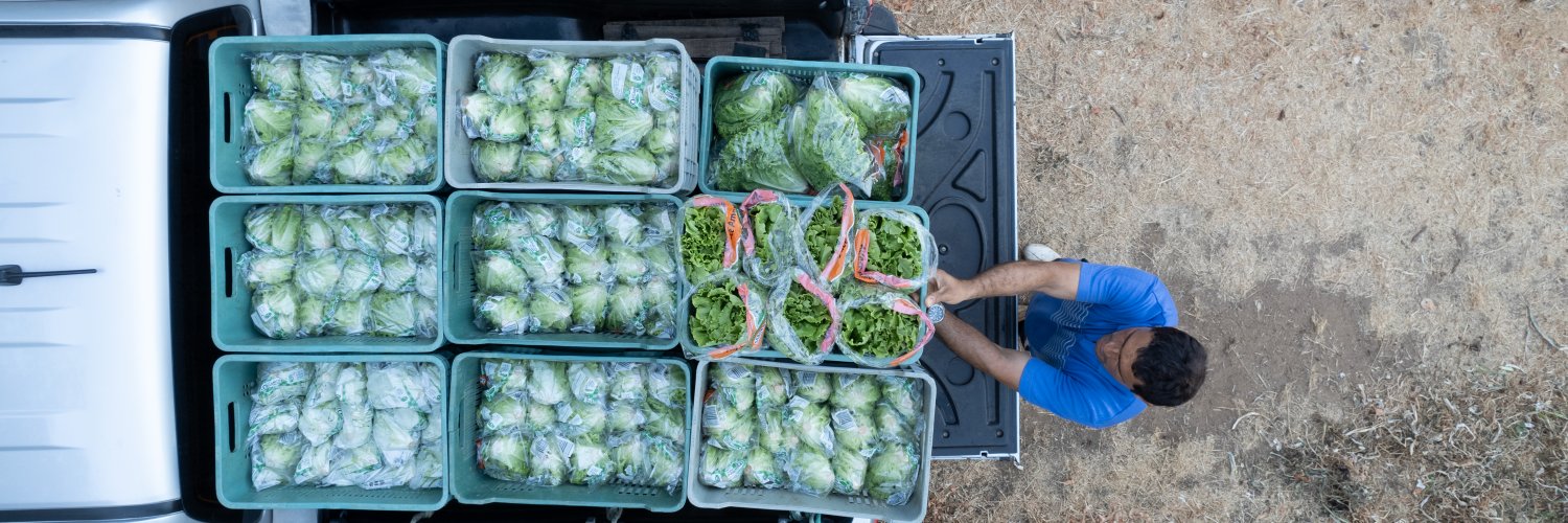 International Fund for Agricultural Development banner