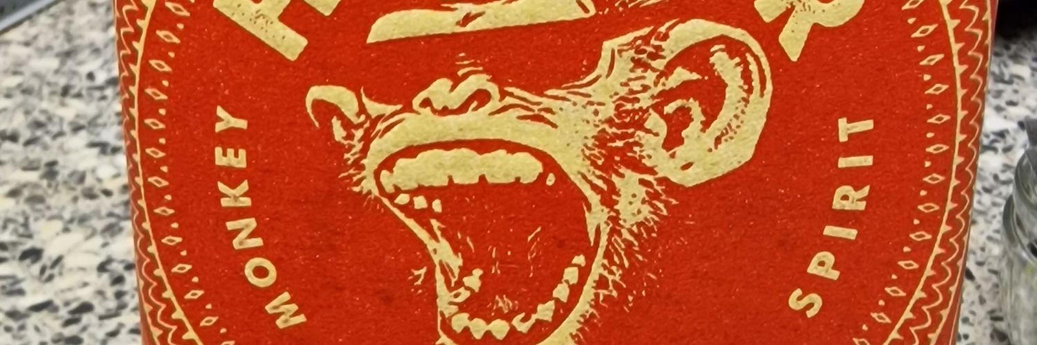 coolboyslim banner