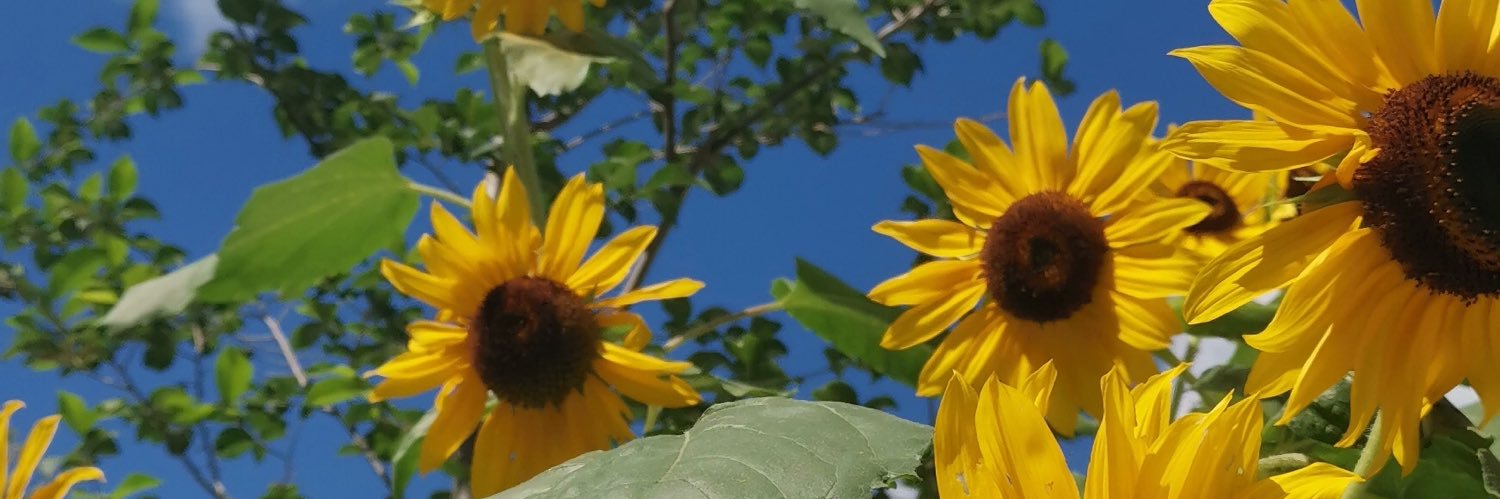 ClaraLoiseauJDM's profile banner image