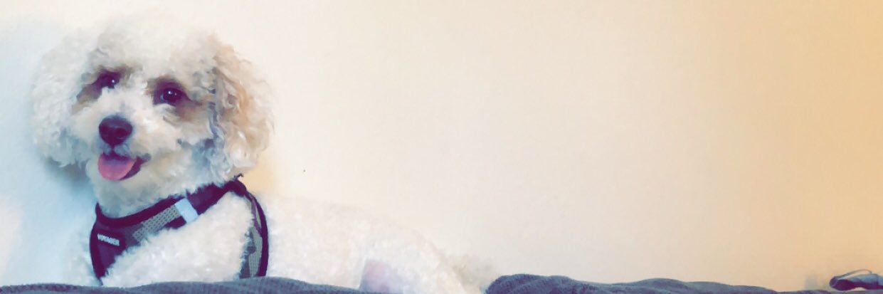 haleyjobrooke's profile banner image
