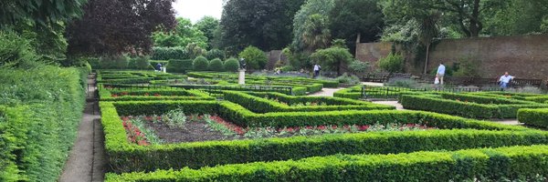 wooozle Profile Banner