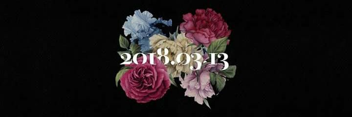 piipuncuoi's profile banner image
