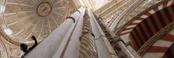 shivaaanip Profile Banner