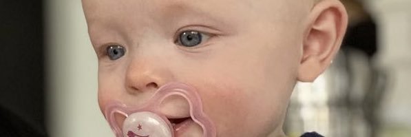 MollyShattuck1's profile banner image