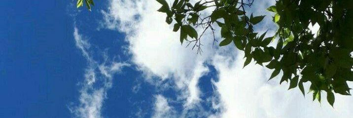 hadeel629's profile banner image