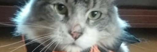 S.Contreras-Parra banner