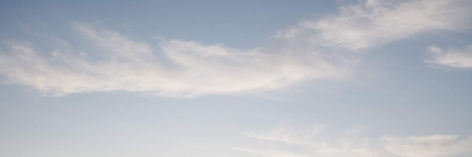 micatiburcio's profile banner image
