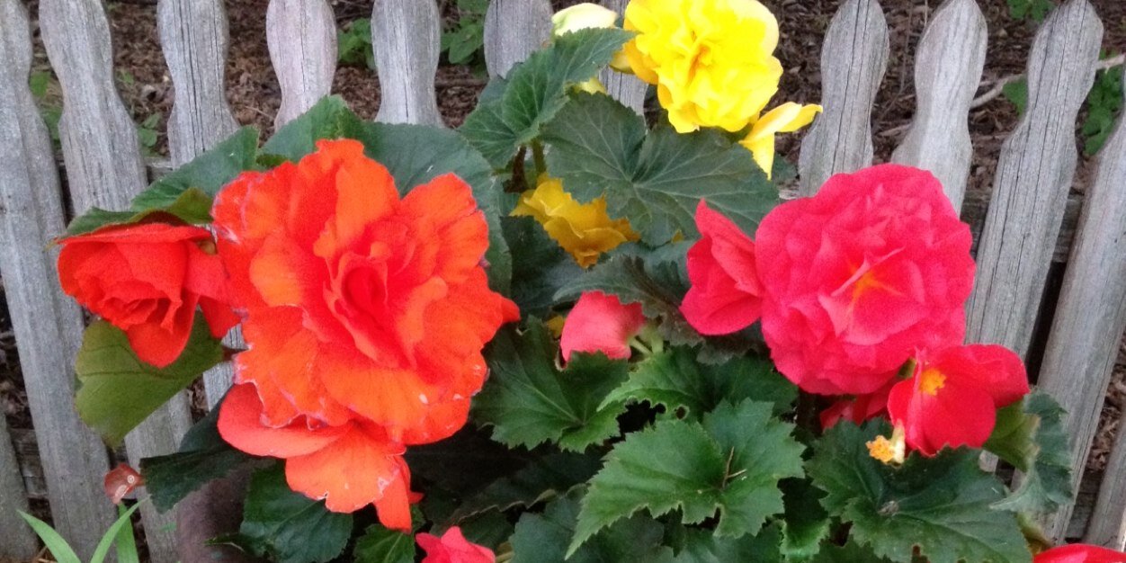 BeckyStromme's profile banner image