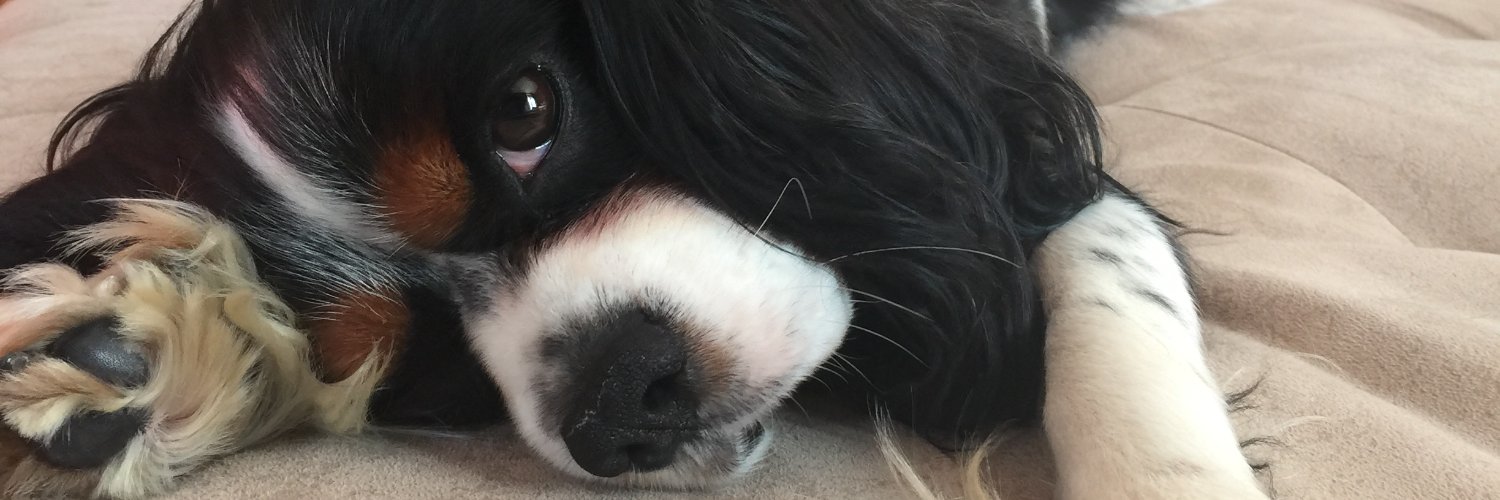 HandeOzen's profile banner image