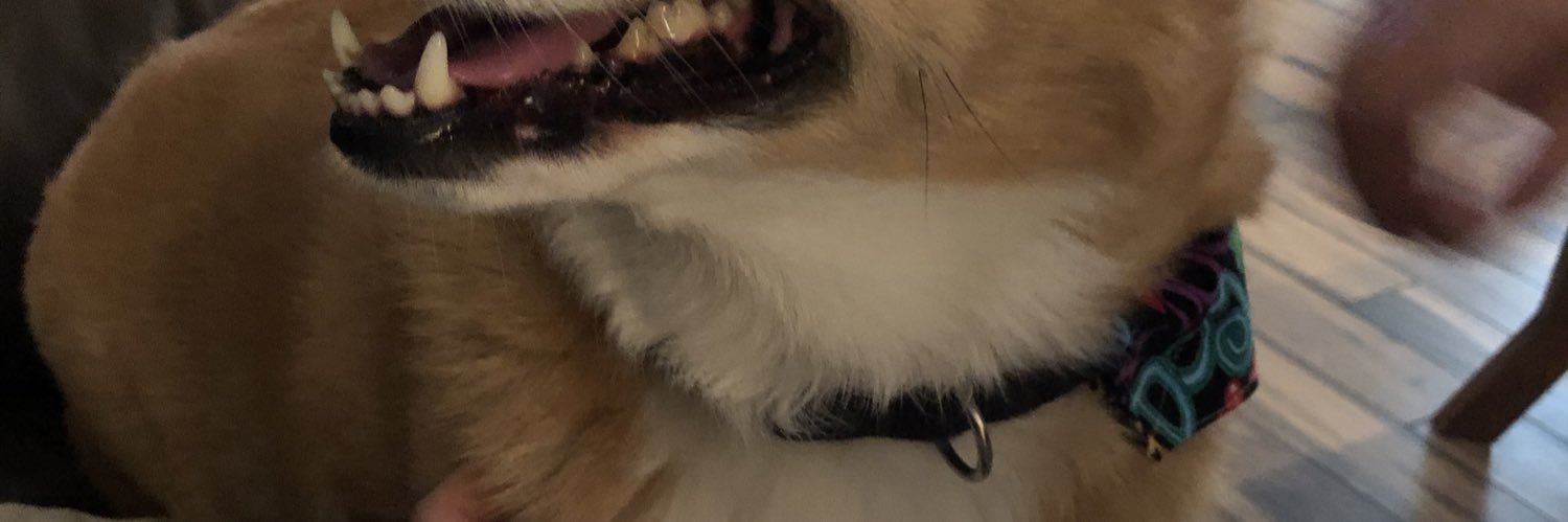 laurie3lie63's profile banner image