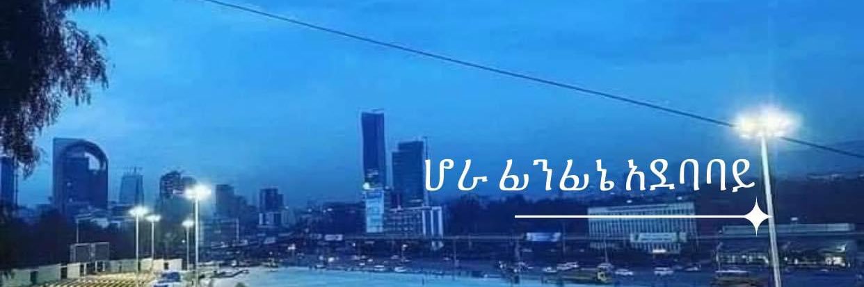 Birhanemeskel Abebe Segni banner