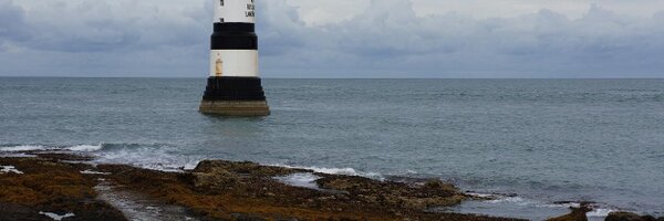 JulieMNoble Profile Banner