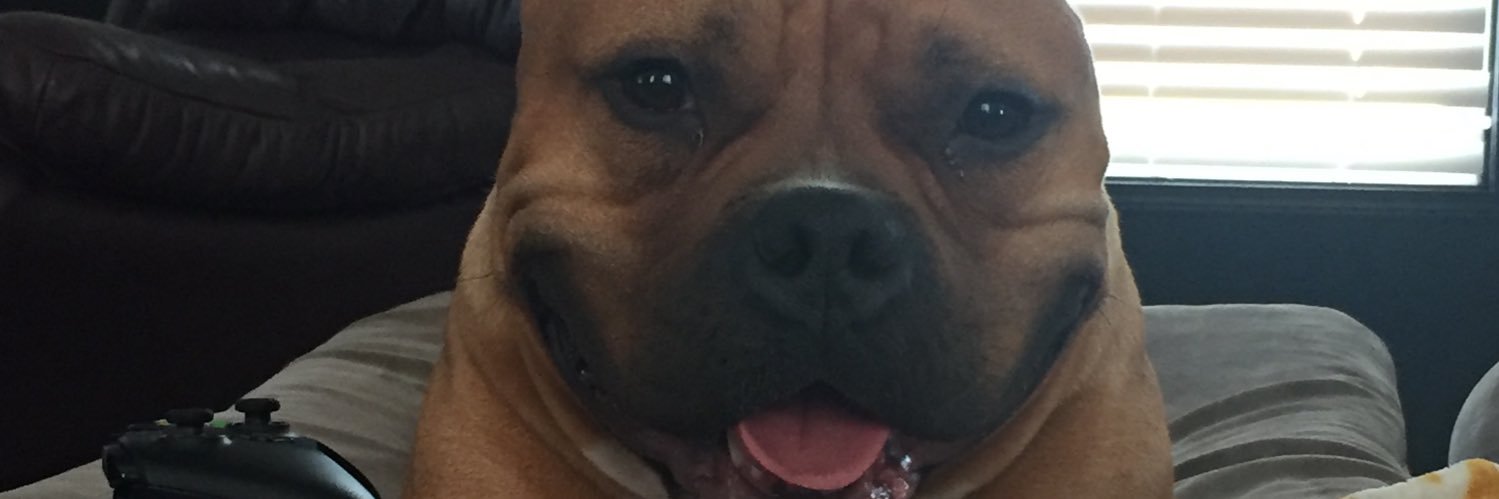 TraeMoo_66's profile banner image
