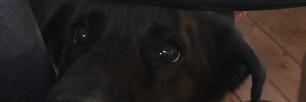 BretCigelnik's profile banner image