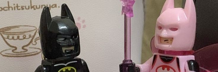 ᓚᘏᗢ banner