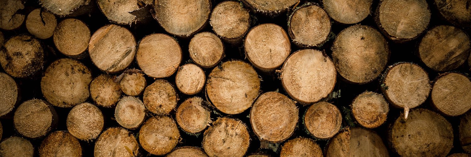 PestFreeGoGreen's profile banner image