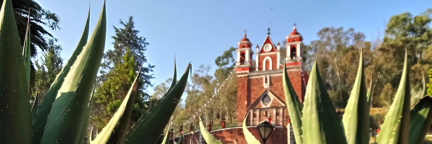 mejiarulybert's profile banner image
