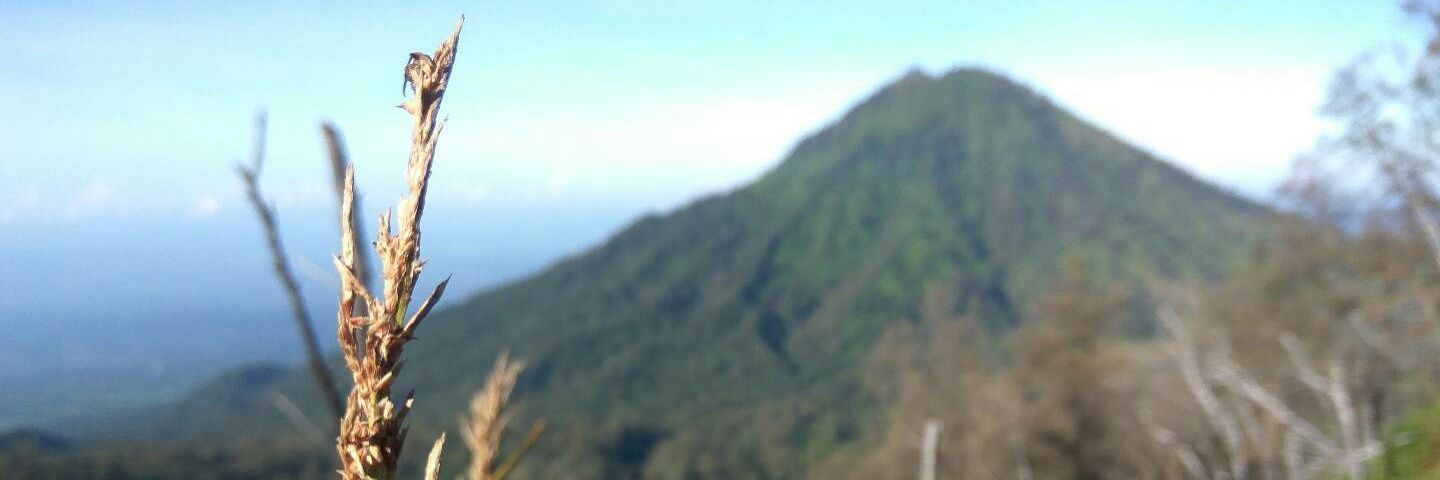 farrassshhh's profile banner image