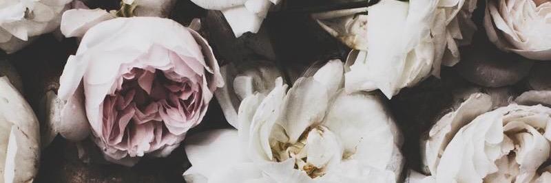 Rachelle_Gill's profile banner image