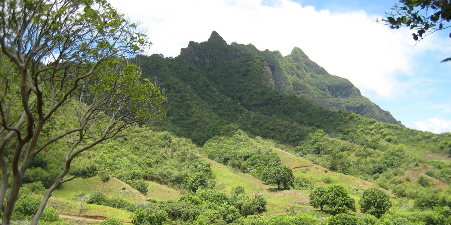 Rizwan Mohamed banner