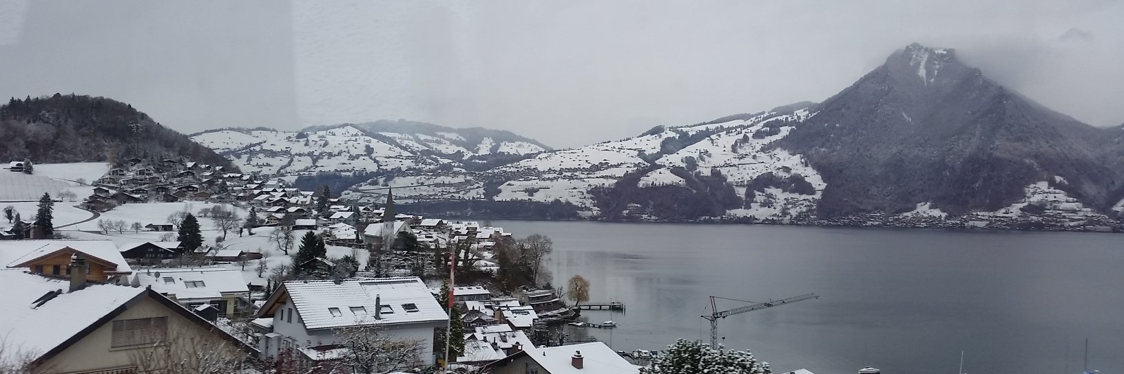 Sharleen Wright banner