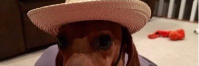 AMonroeC's profile banner image