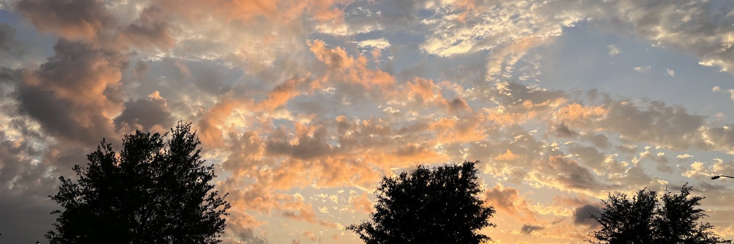 HaleyNichole28's profile banner image