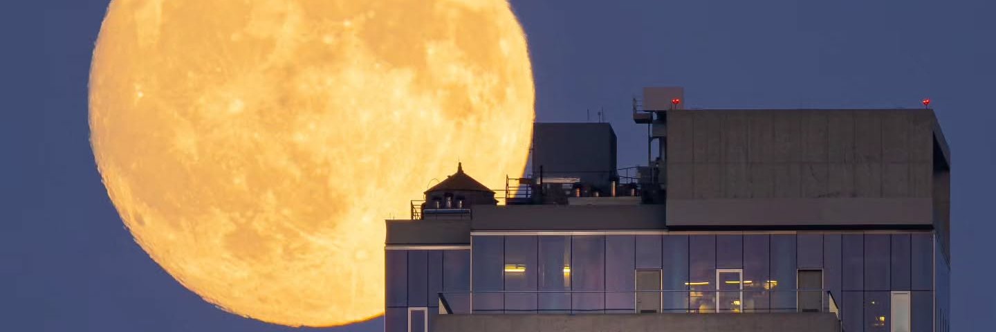 RoseTheQuewdhe's profile banner image