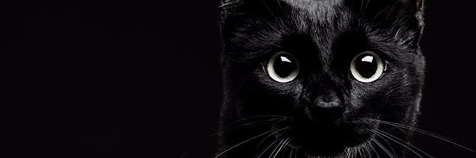 HiddenLover's profile banner image