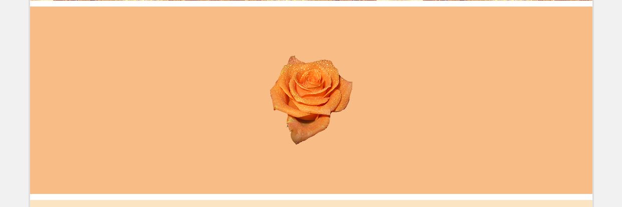 Maaadi23's profile banner image