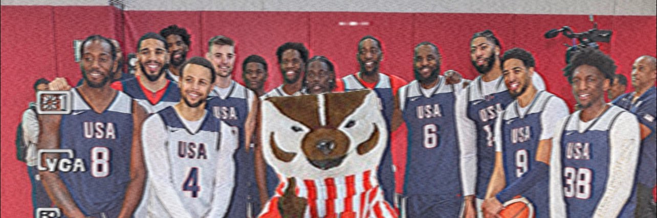 Wisconsin Hoopz's banner