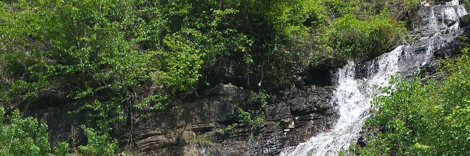 LinneaMMorris's profile banner image