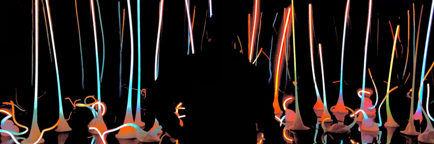 kevin l banner