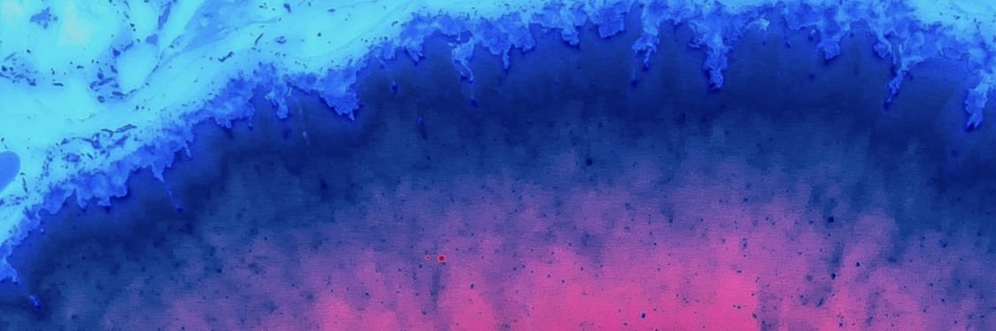trixi1317's profile banner image