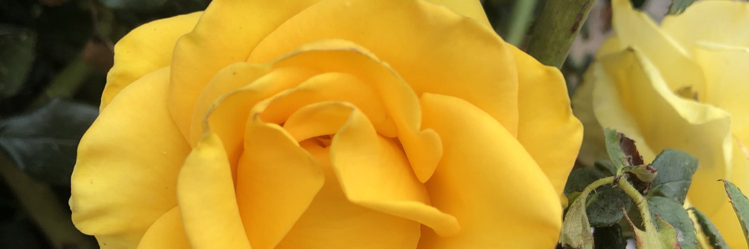 _iConsue's profile banner image