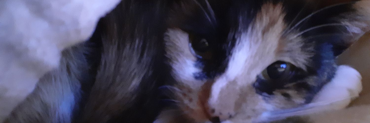 mikannokami2000's profile banner image