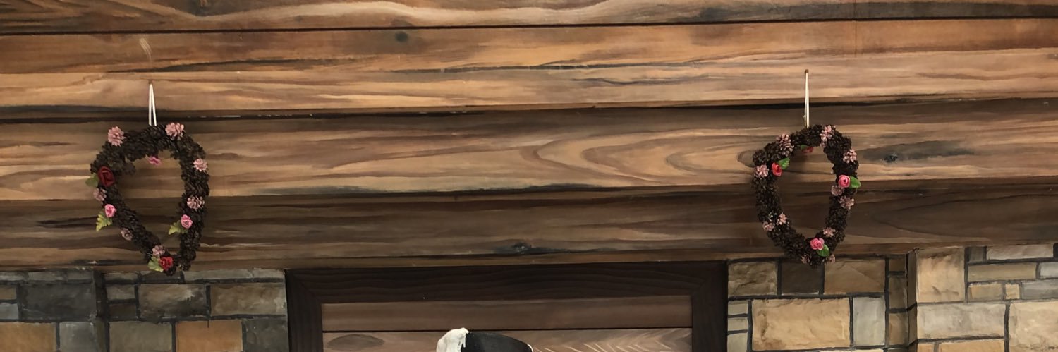 PrischaTitania's profile banner image