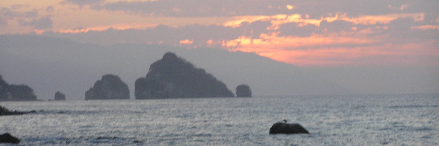 sean middleswart banner