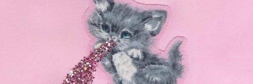 聖体泥棒童貞マリア banner