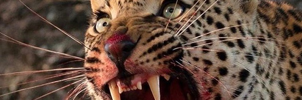 jacknewtonflow's profile banner image