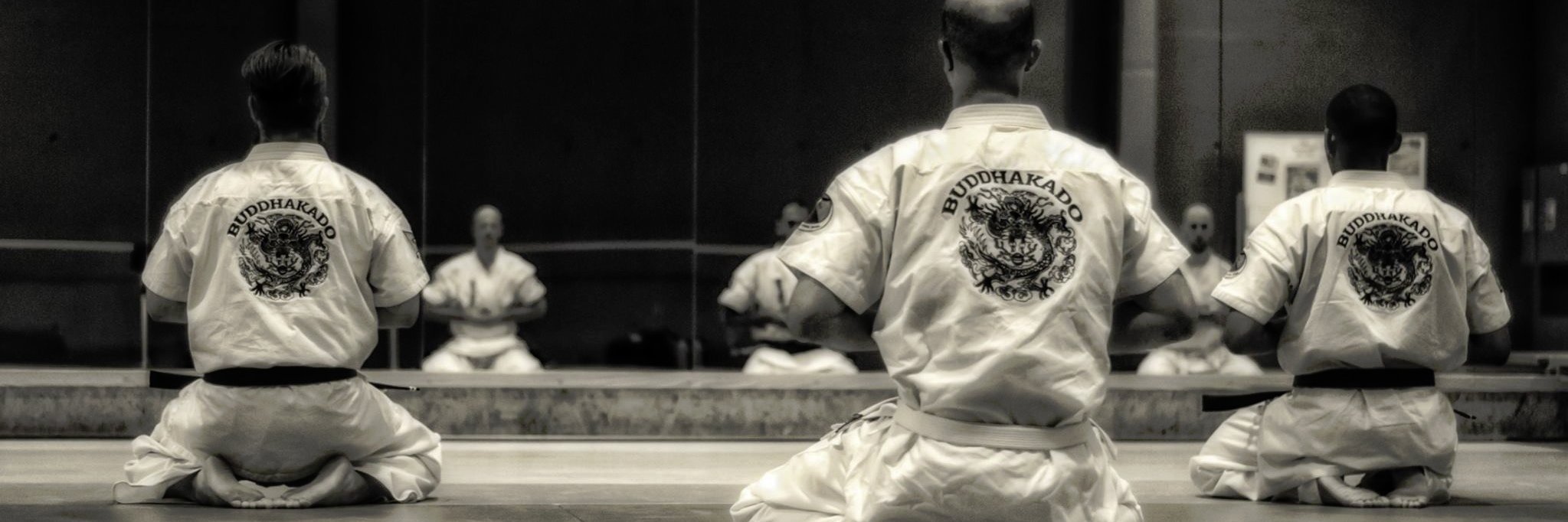 BuddhakadoBE's profile banner image