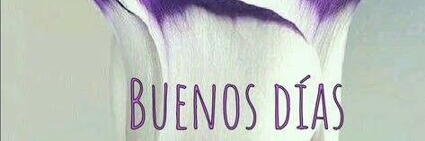 turquese's profile banner image