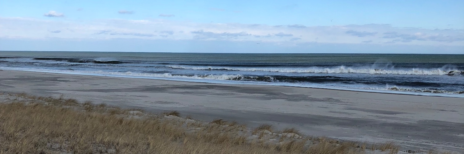 Bruce Hamburger banner