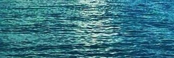 wodynesment's profile banner image