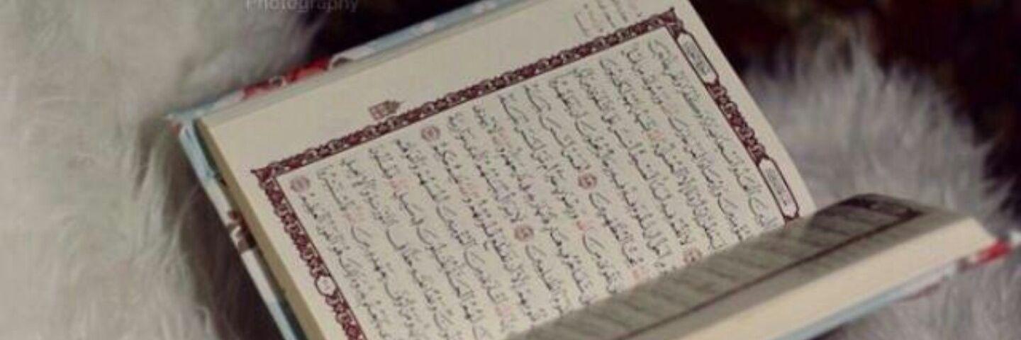 Taha_Alrashed's profile banner image
