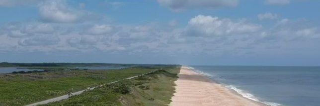 Josiah McCain banner