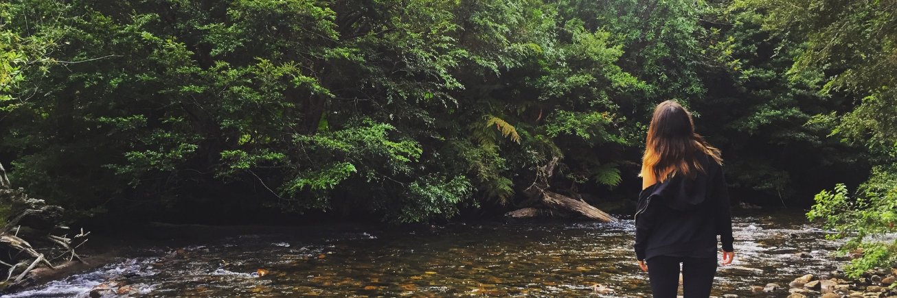 Javiera Diaz Alvarado banner